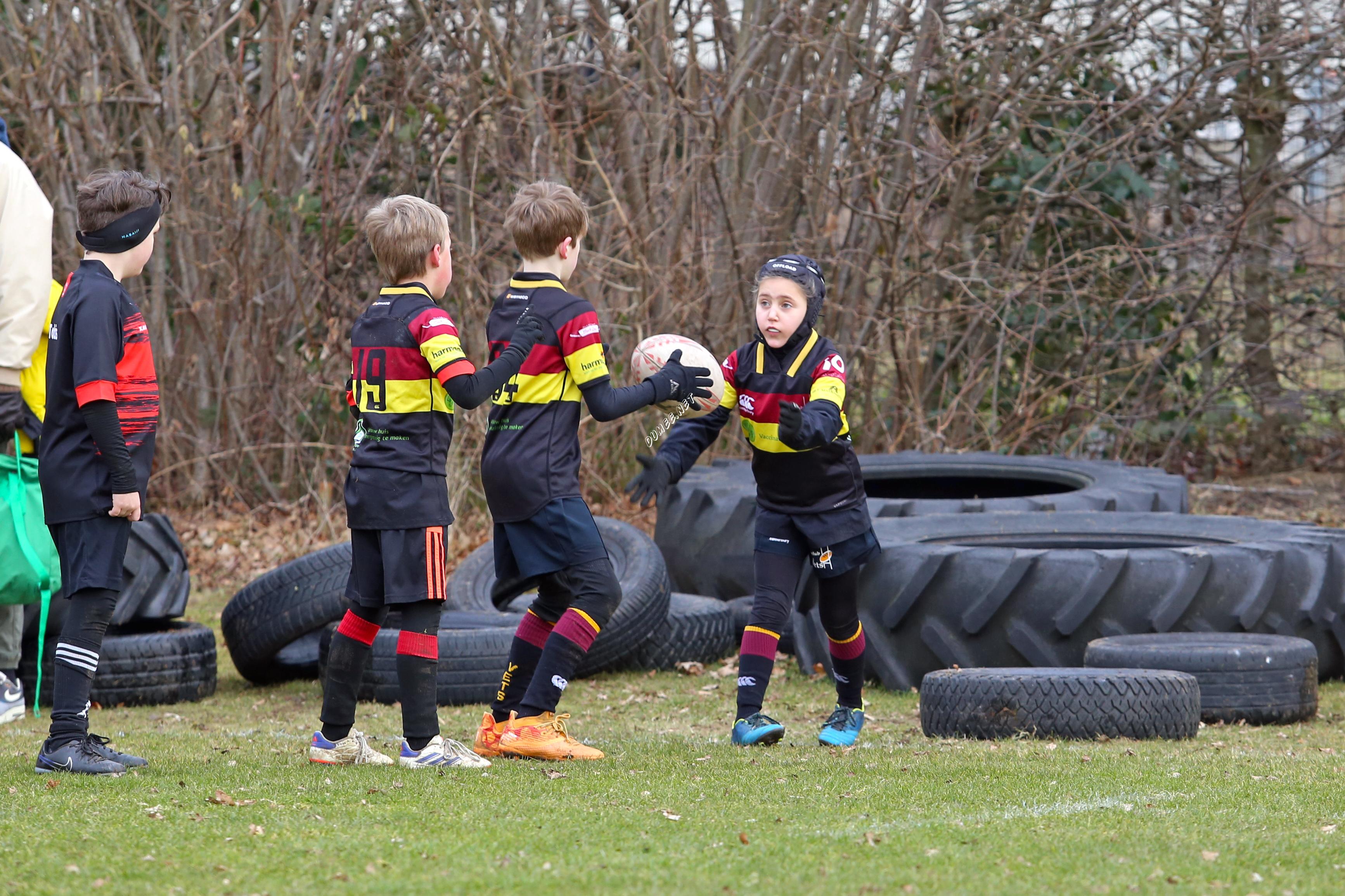 rugby tbm bokkerijders wallabys vets