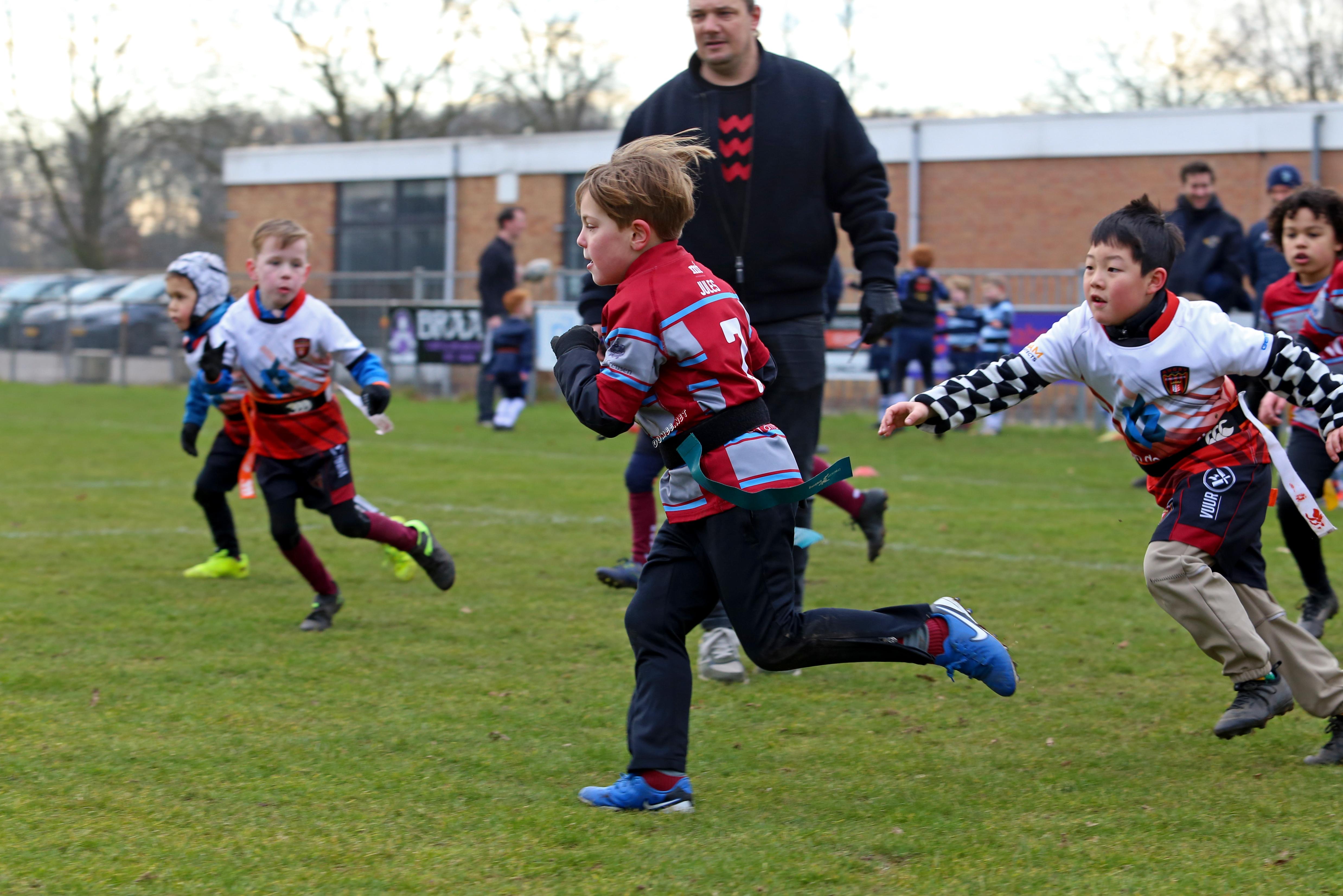 rugby tbm bokkerijders wallabys vets