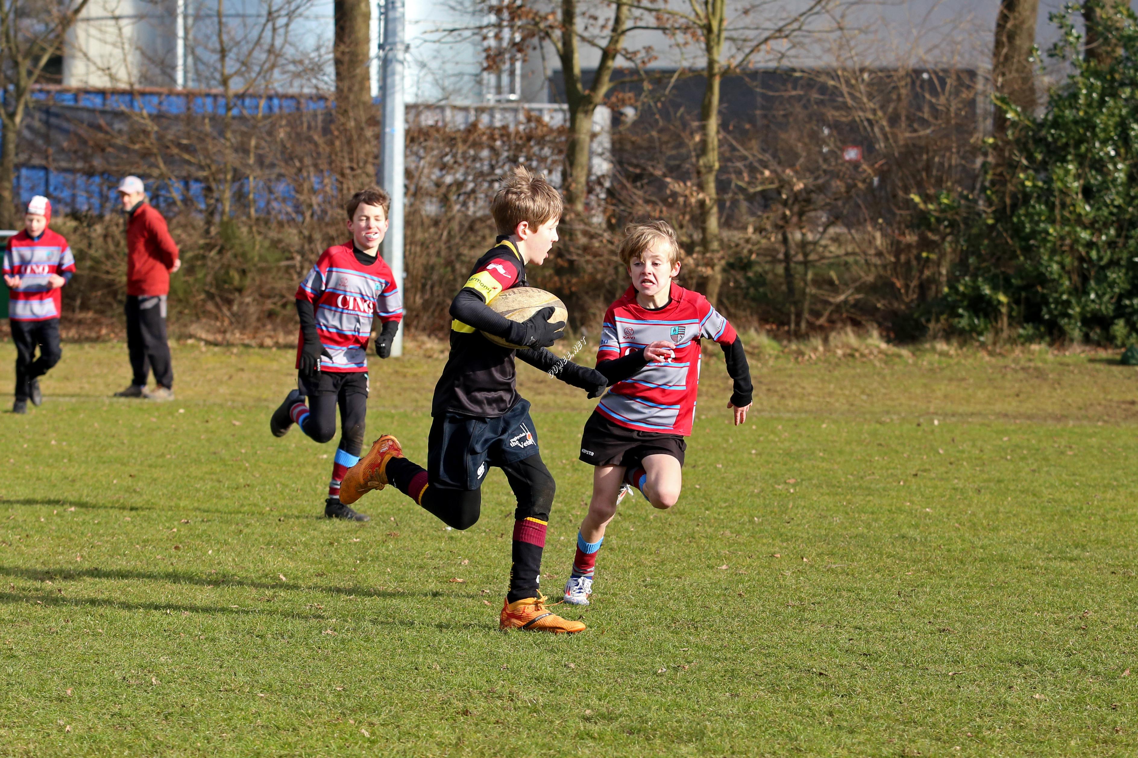 rugby tbm bokkerijders wallabys vets