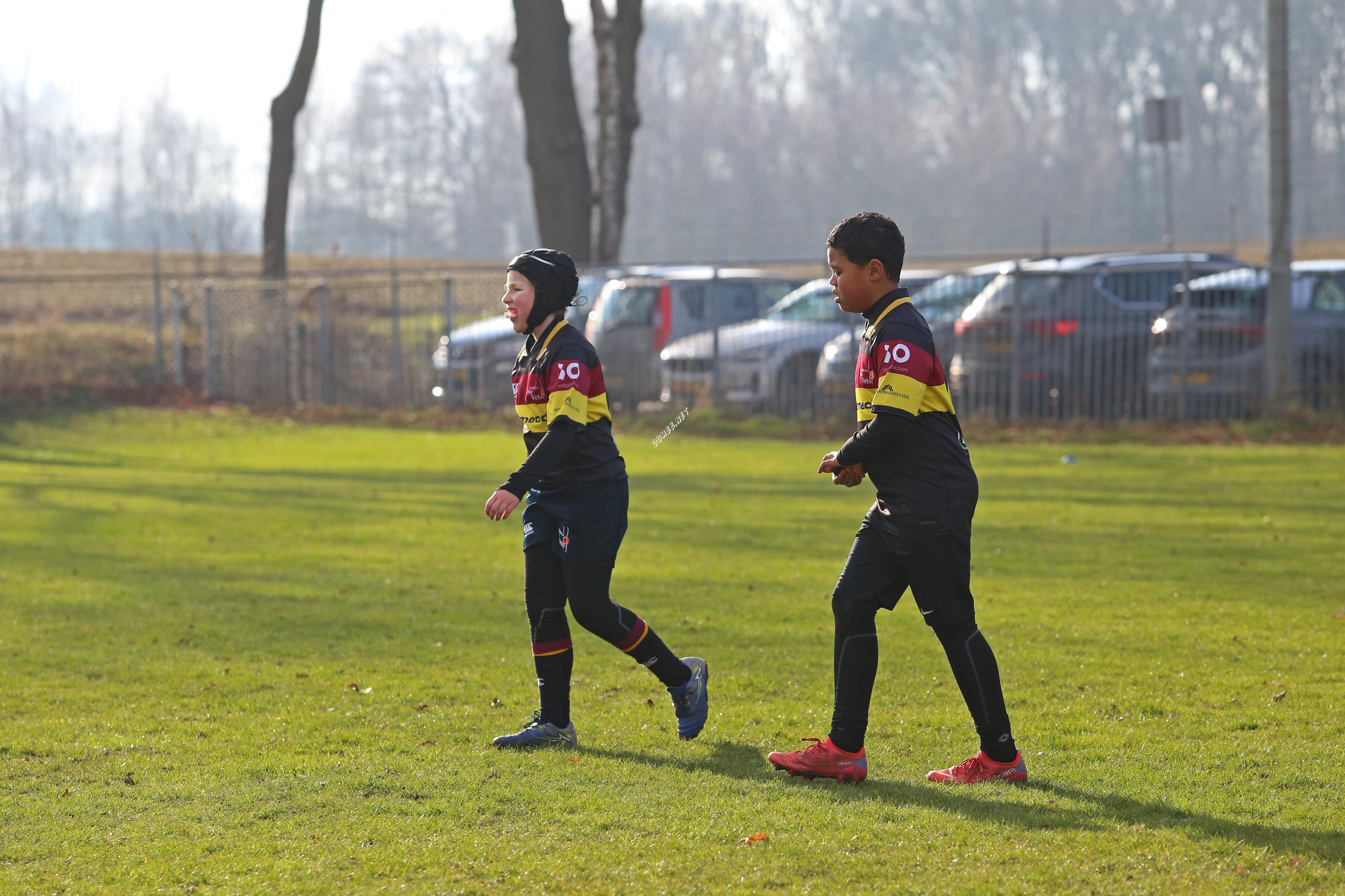 rugby tbm bokkerijders wallabys vets
