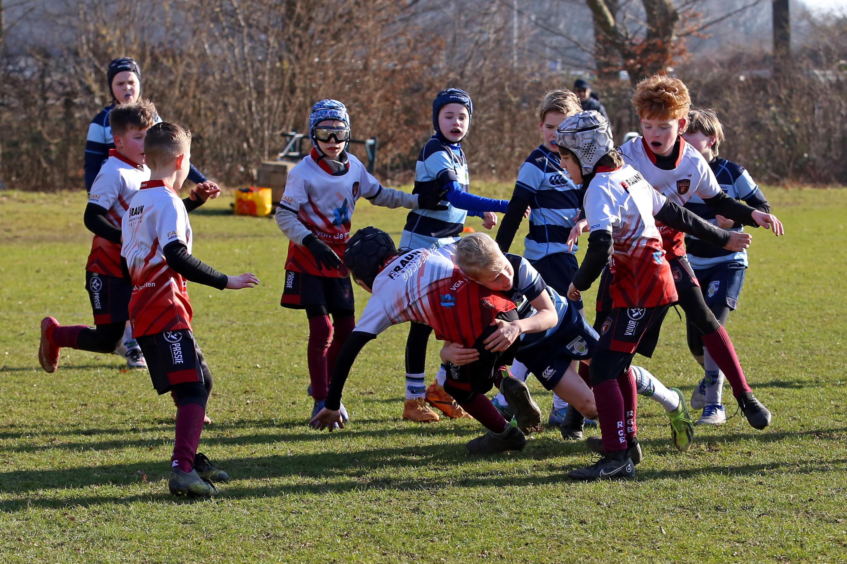 rugby tbm bokkerijders wallabys vets
