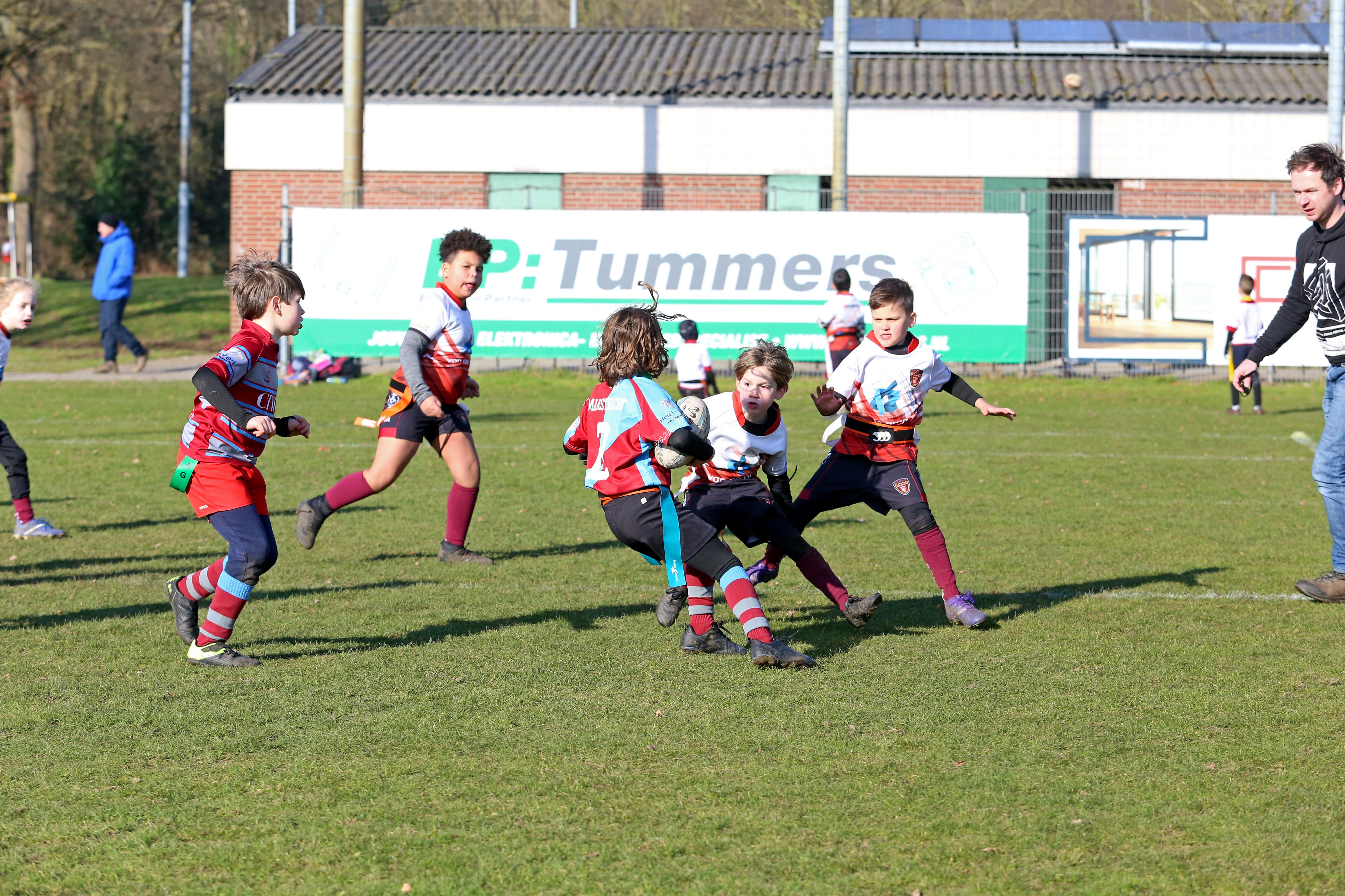 rugby tbm bokkerijders wallabys vets