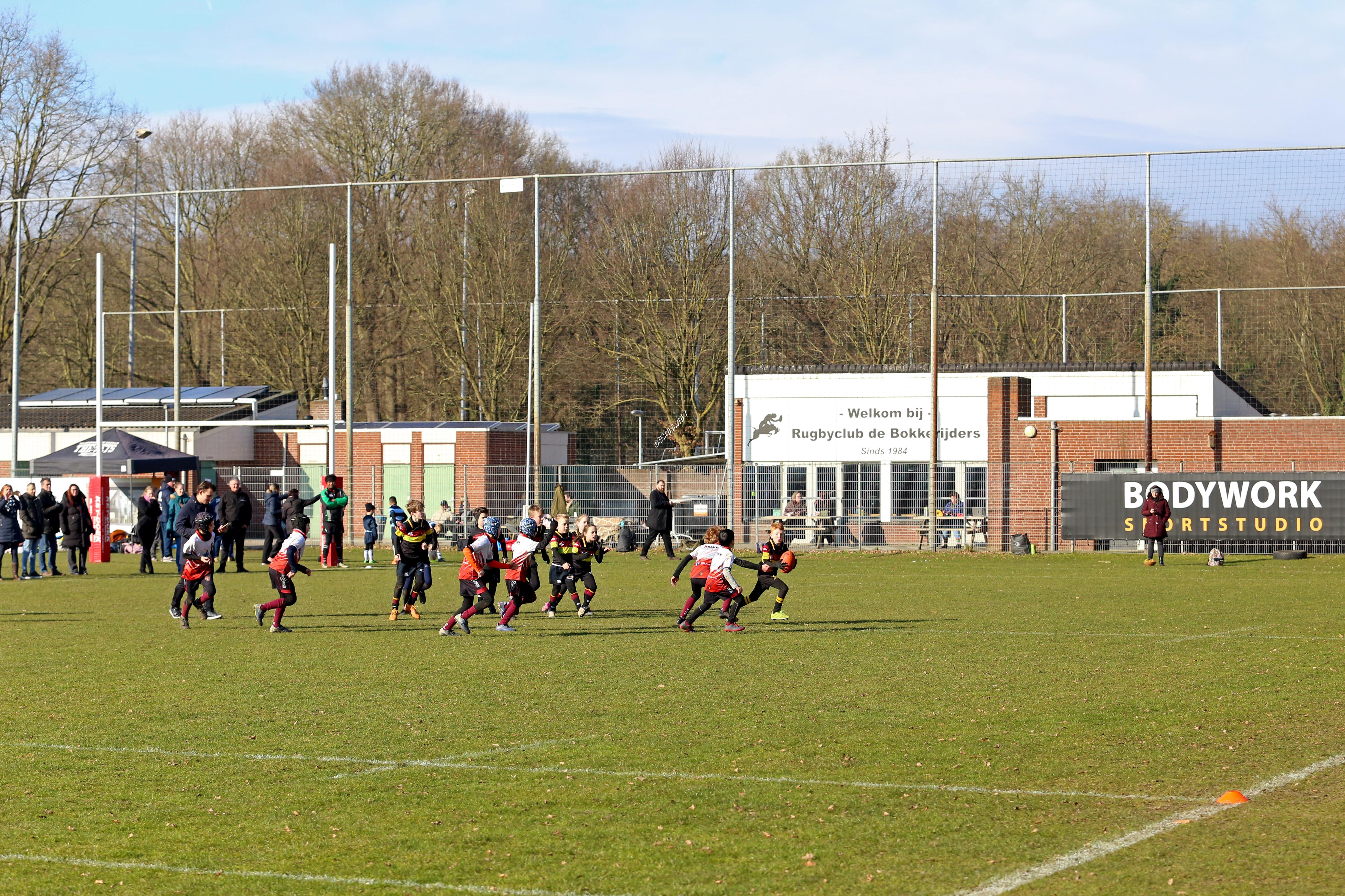 rugby tbm bokkerijders wallabys vets