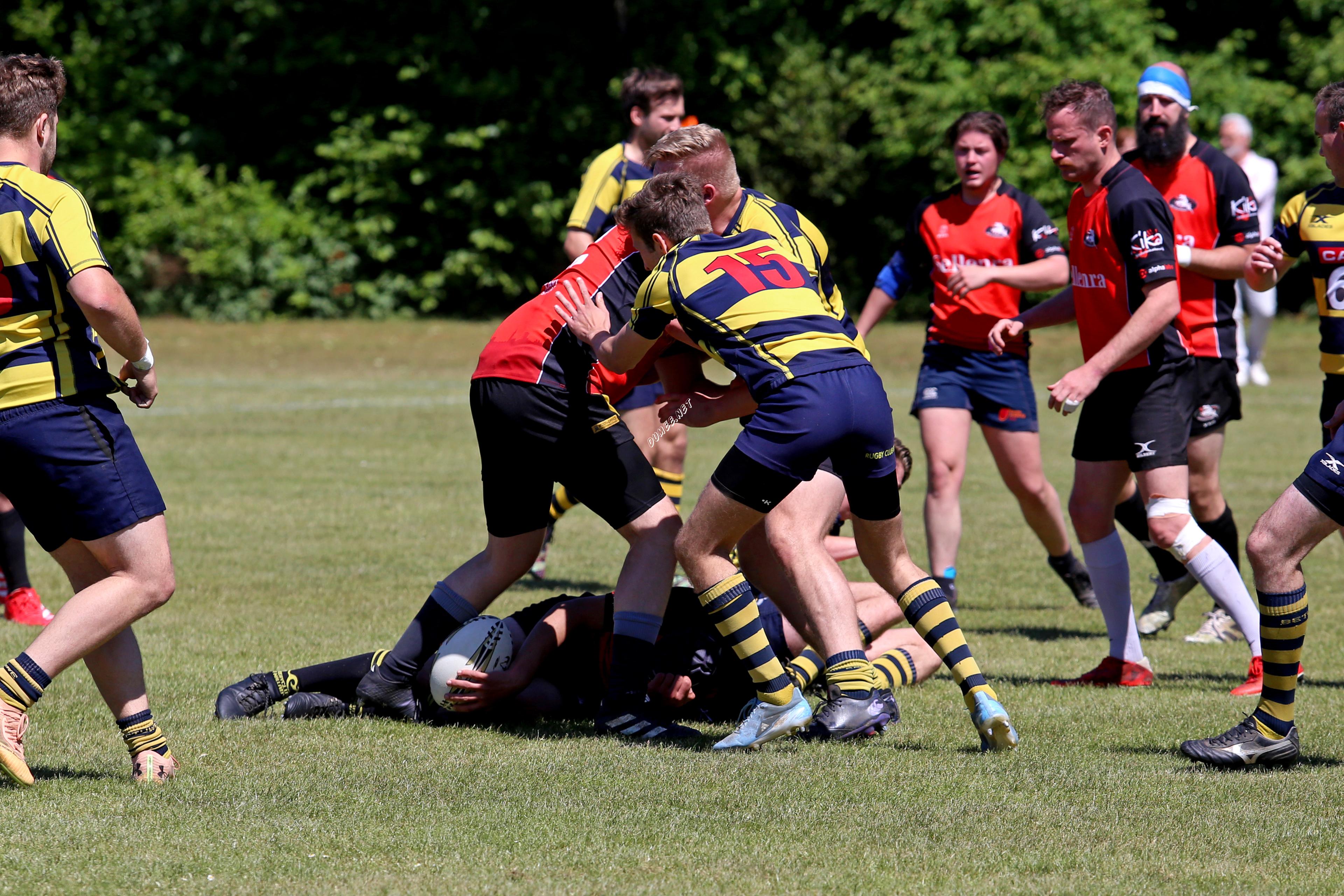 rugby senioren bokkerijders wallabys