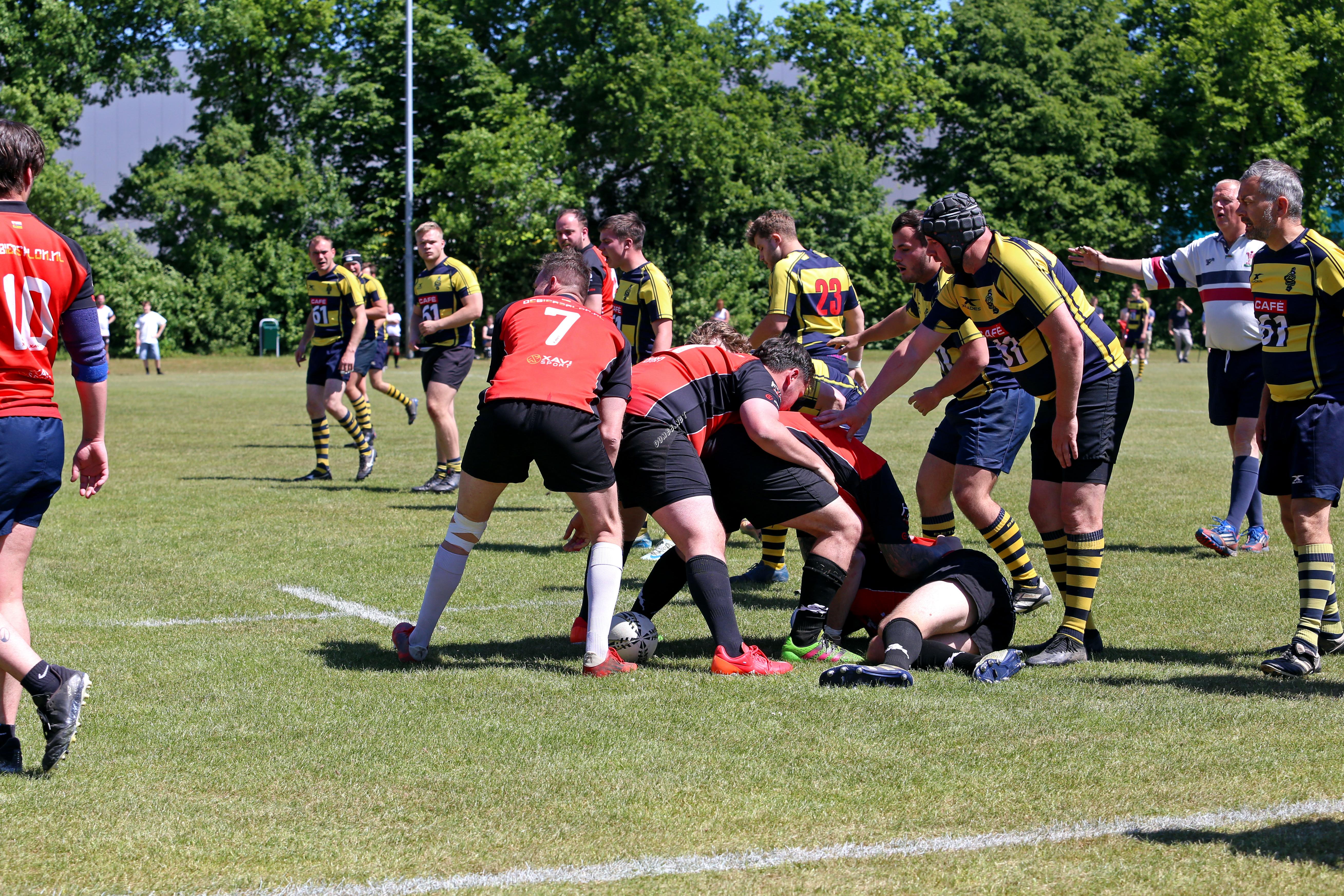 rugby senioren bokkerijders wallabys