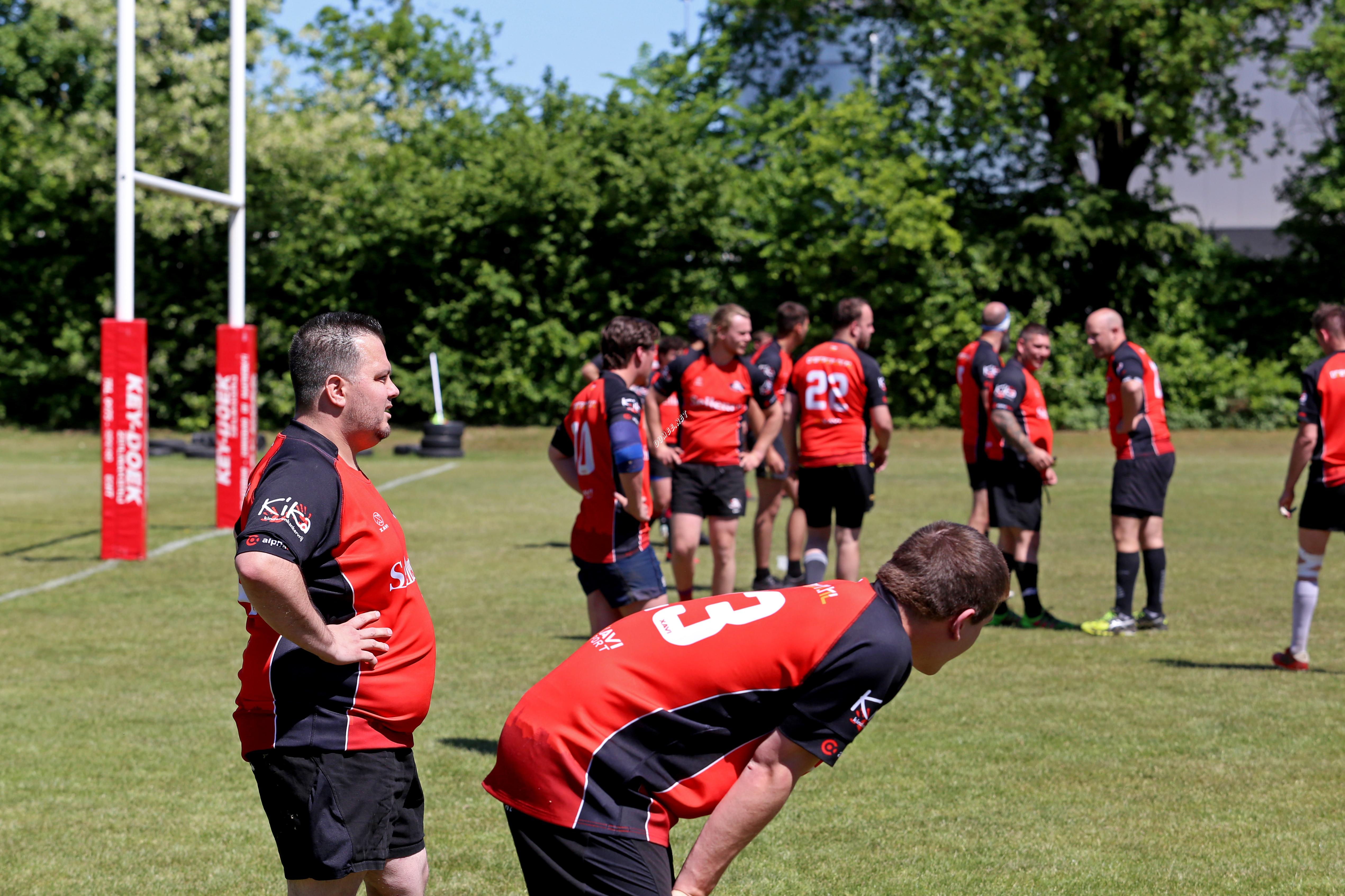 rugby senioren bokkerijders wallabys