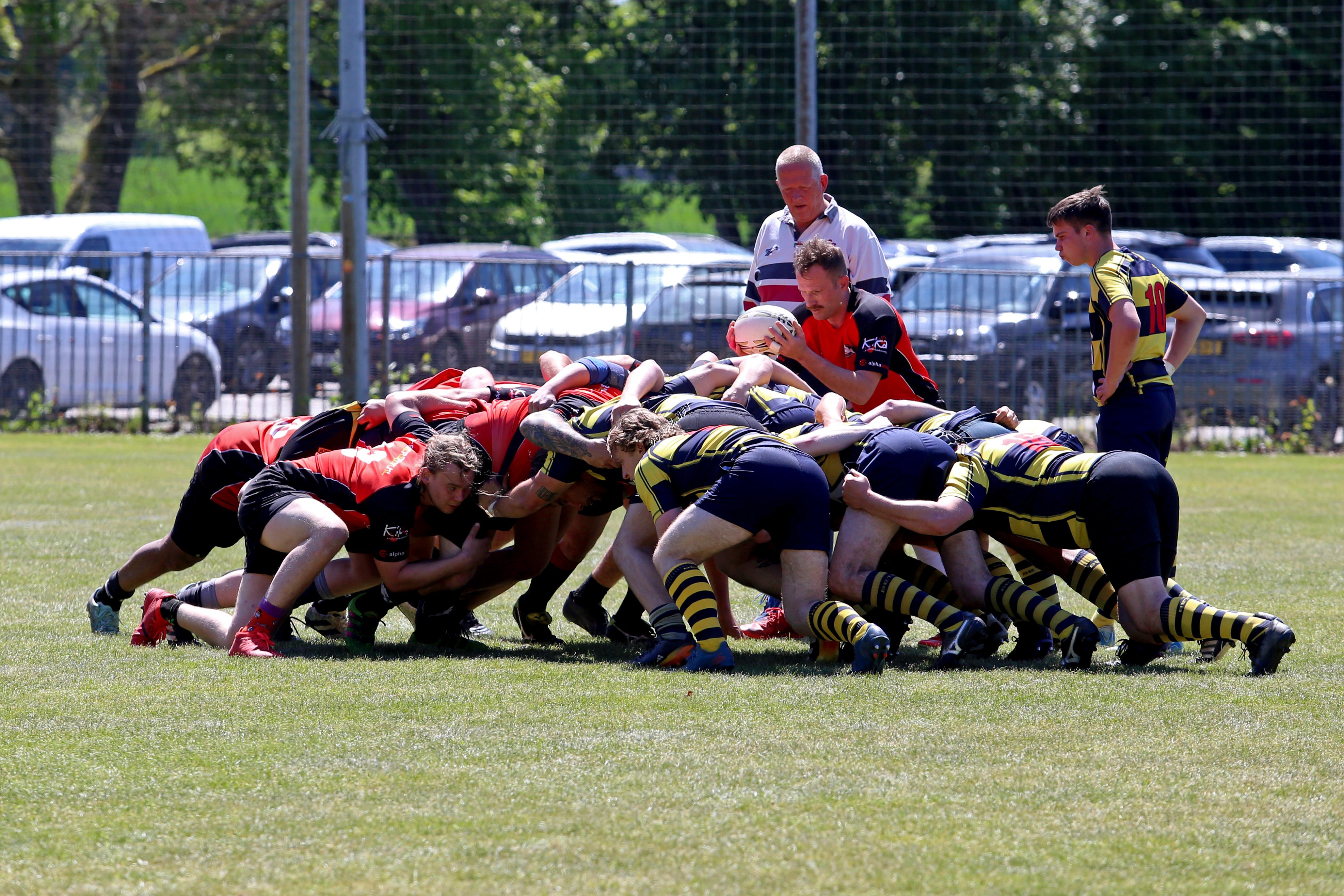 rugby senioren bokkerijders wallabys