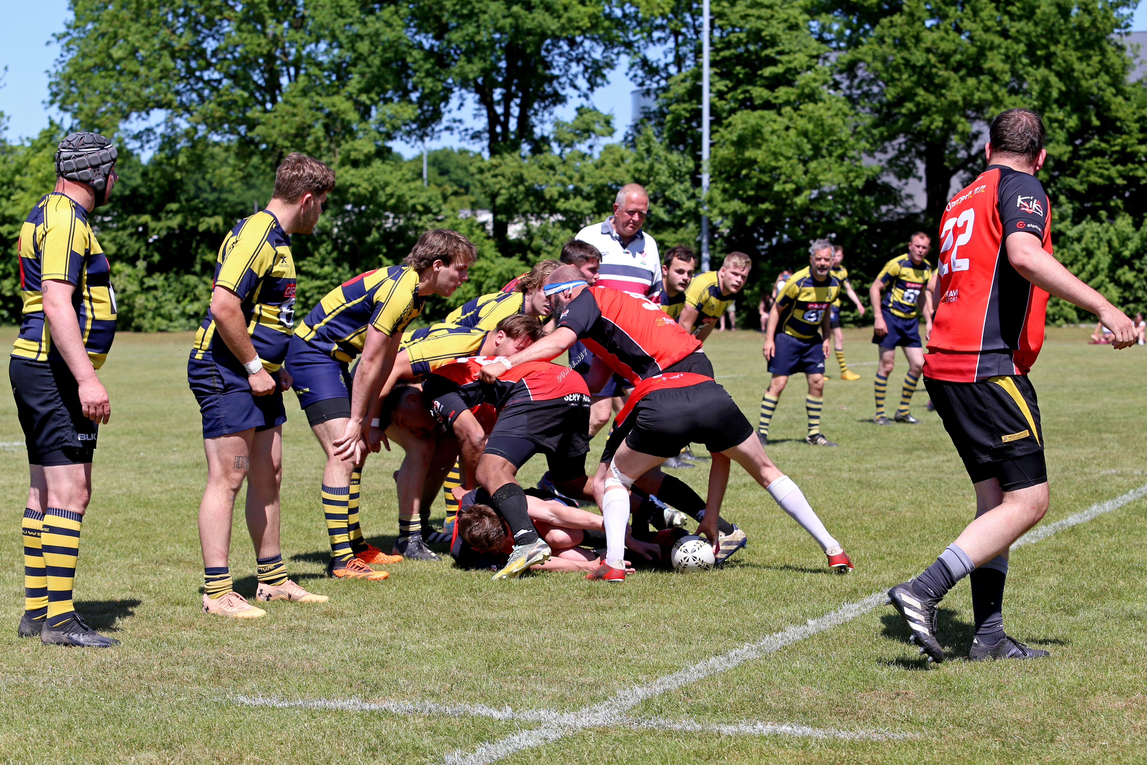 rugby senioren bokkerijders wallabys